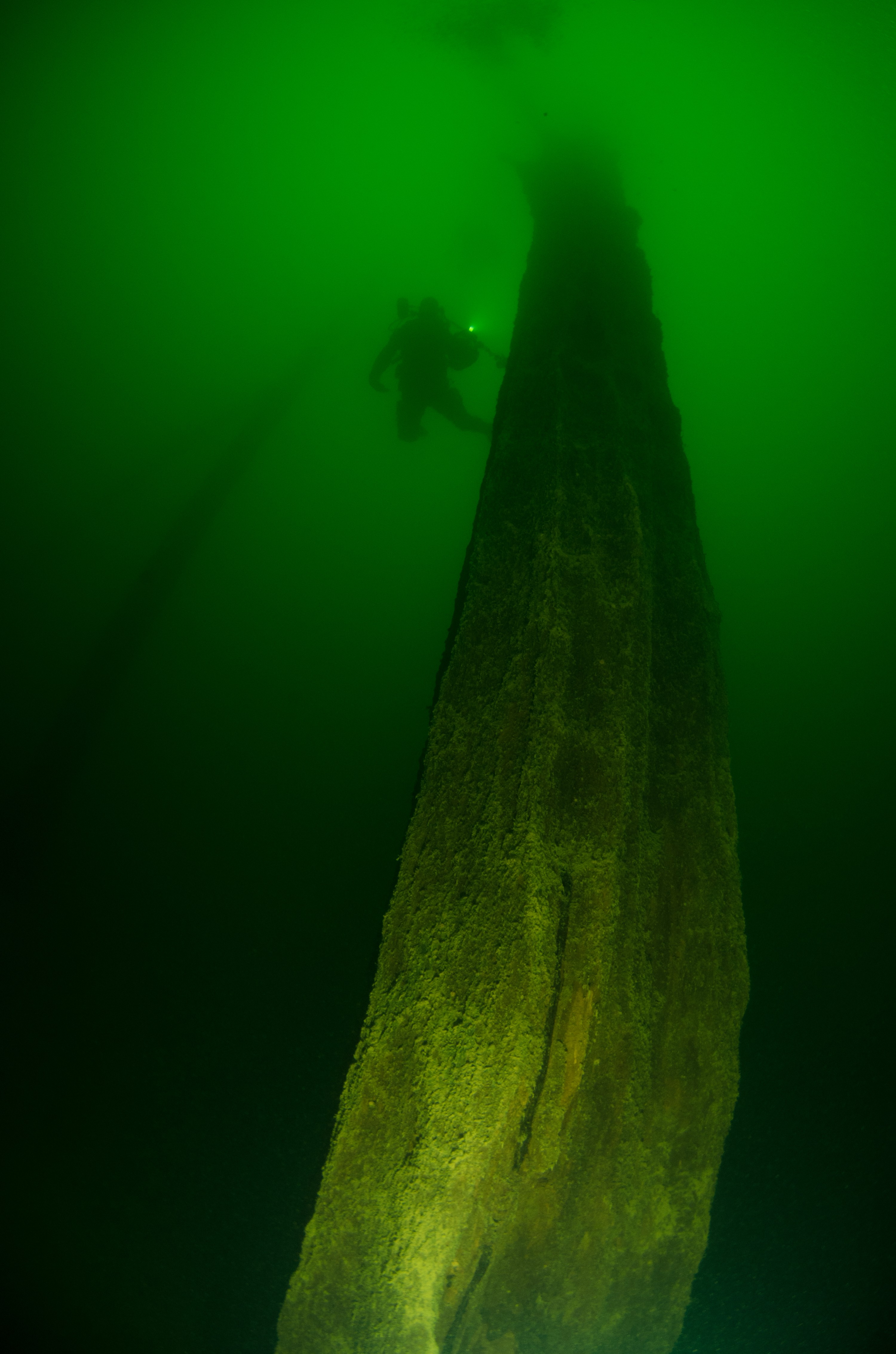 DSC_7379 – 2000yr, Waikaremoana, Waikaremoana_August_16, adventure, ancient, crispin, forest, fresh, freshwater, lake, new, nz, sunken, urewera, zealand